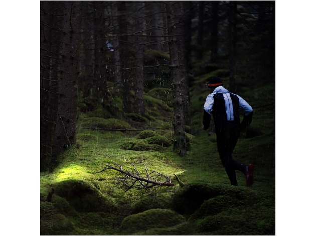 Fenix HM62-T headlamp black - Photo