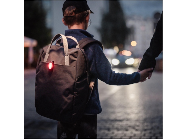 Fenix Mini-Lite LED Flashlight - Photo